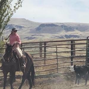 Meet your Posher, Tori